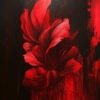 Dramatic red flower with rich details against a black background.