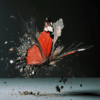 A butterfly bursting through a surface, surrounded by fragments, with vibrant orange and black wings against a dark backdrop, symbolizing transformation and resilience.