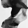 A dynamic composition of black and white lines, suggesting both form and abstraction, evoking a sense of movement and inviting contemplation on perception and meaning.