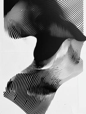 A dynamic composition of black and white lines, suggesting both form and abstraction, evoking a sense of movement and inviting contemplation on perception and meaning.