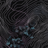 Abstract artwork combining delicate leaf outlines with vibrant colors on a cosmic black background, evoking the connection between nature and the universe.