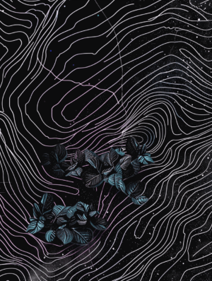 Abstract artwork combining delicate leaf outlines with vibrant colors on a cosmic black background, evoking the connection between nature and the universe.